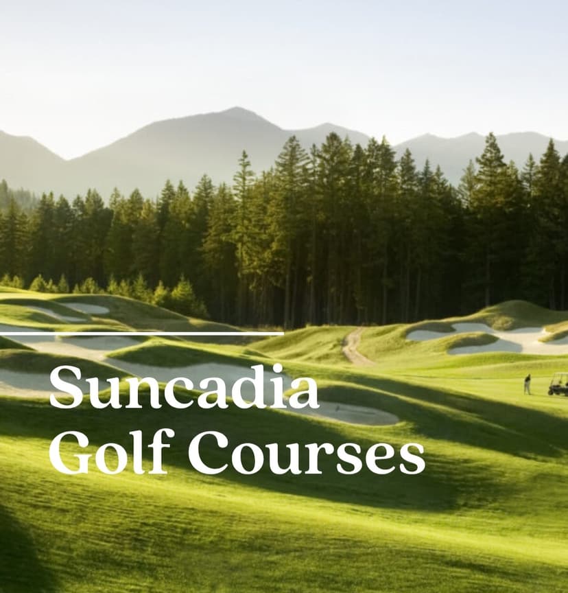 hangar popup image 2