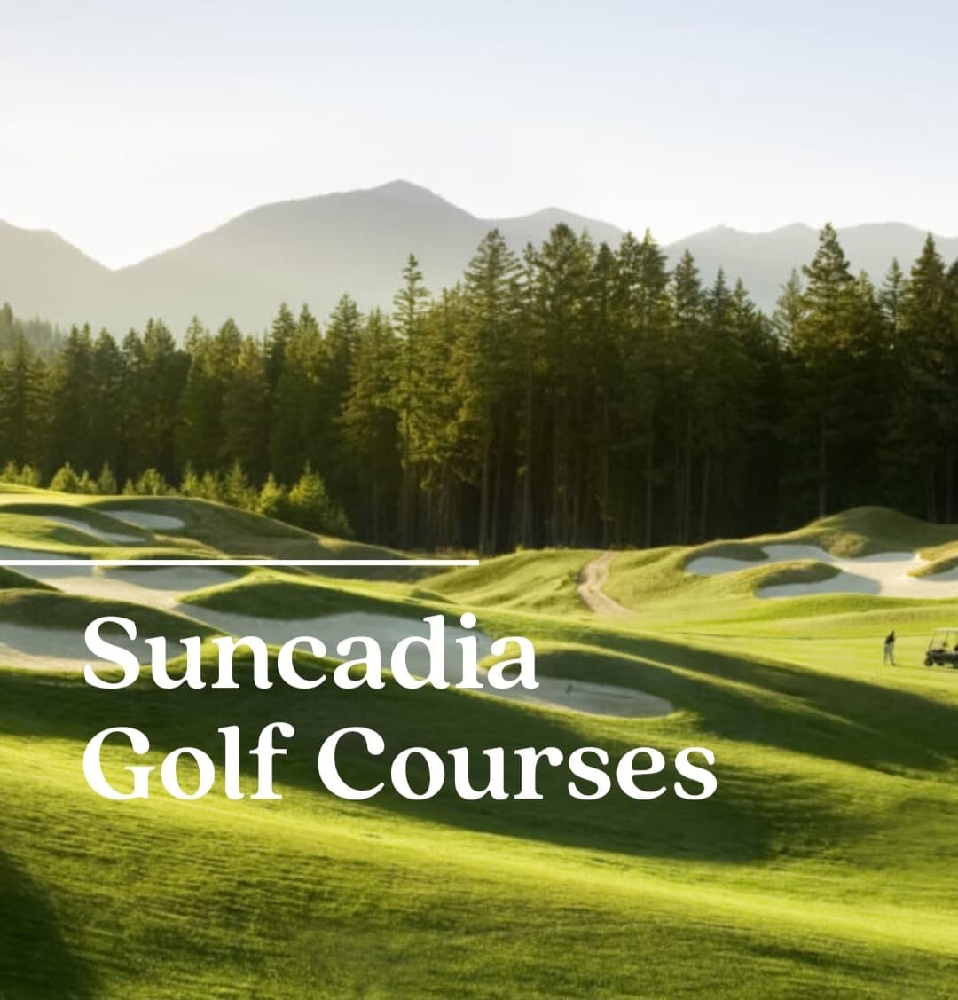 hangar popup image 2